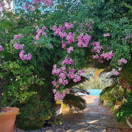 Cortijo La Haza Bed & Breakfast Iznájar Exterior photo