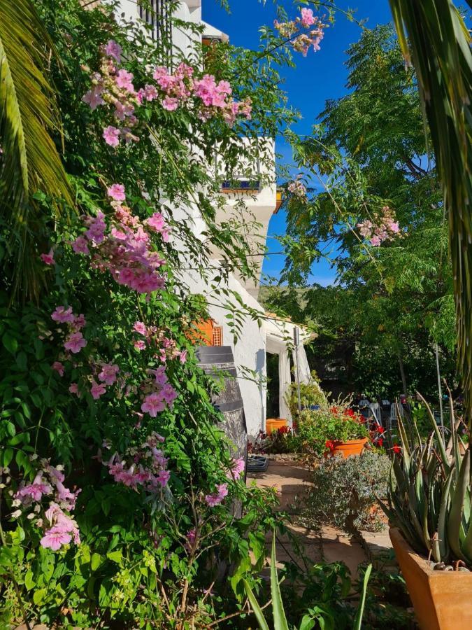 Cortijo La Haza Bed & Breakfast Iznájar Exterior photo