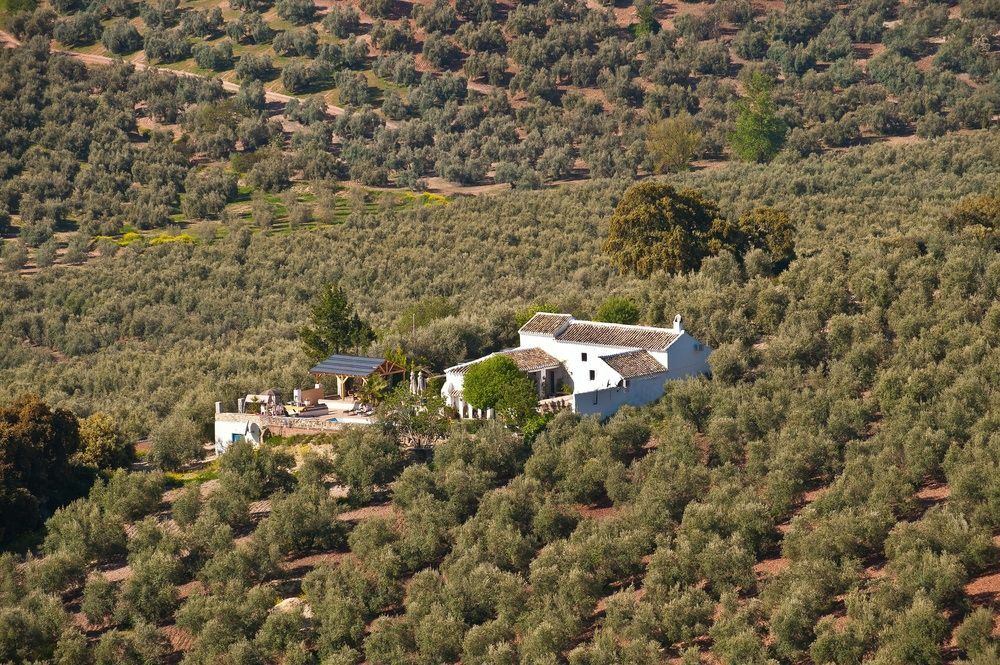 Cortijo La Haza Bed & Breakfast Iznájar Exterior photo